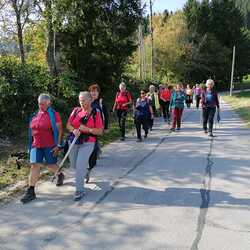 Auf dem Weg zur Ardningalm.